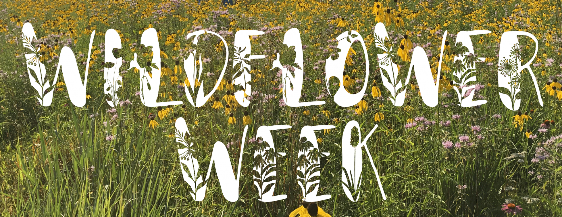 2026 Wildflower Week | July 18  - July 26